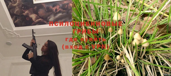 дживик Осинники