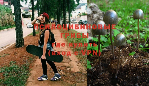 прущий лед Остров