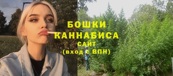дживик Осинники