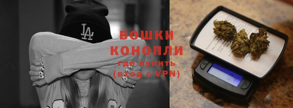 дживик Осинники