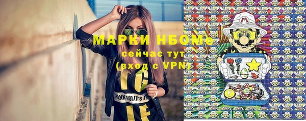 дживик Осинники