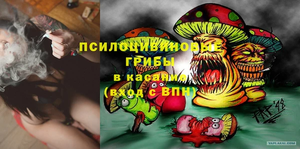 дживик Осинники
