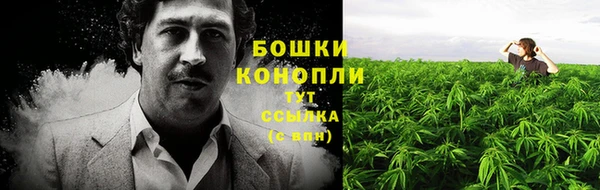 дживик Осинники